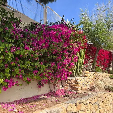 アパート Roymar 14 Playa ベニドルム